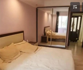 VIP apart 527